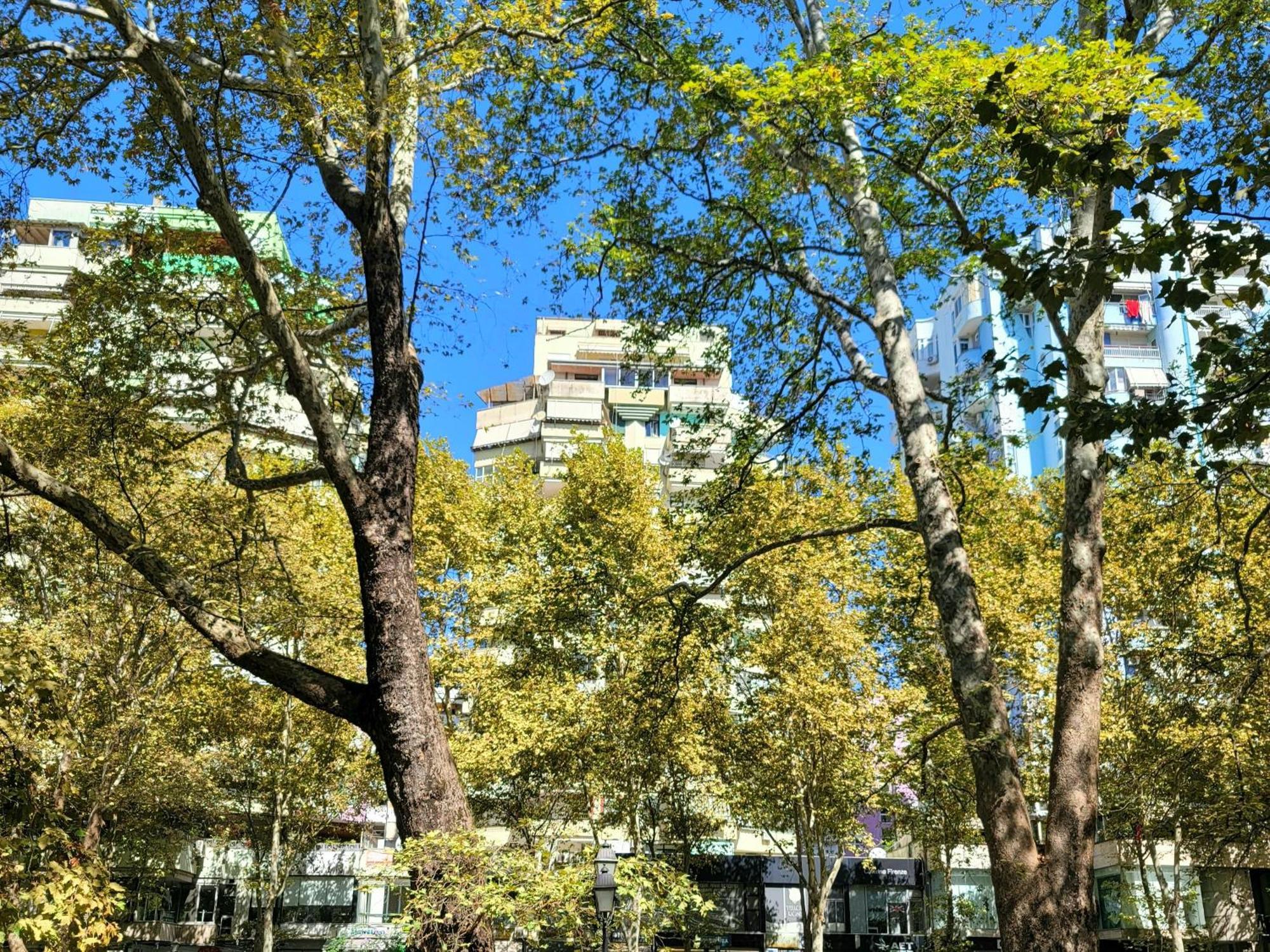 Panoramic Apartment 地拉那 外观 照片